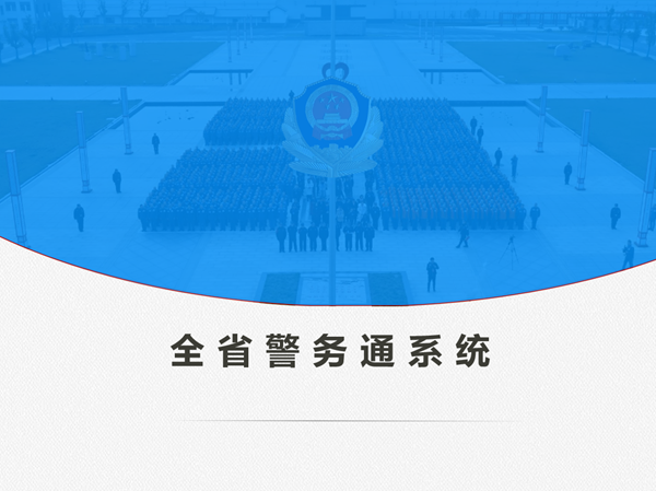 某全省警务通项目
